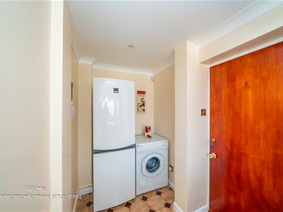 Picture 11